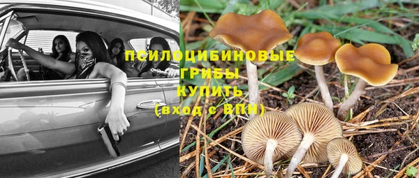 дурь Пролетарск