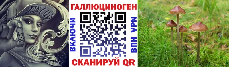 blacksprut ONION  Рязань  Галлюциногенные грибы мухоморы 